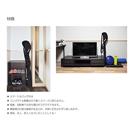 Amazon.co.jp: 遊べるセット リンクス スターターセット 2本セット