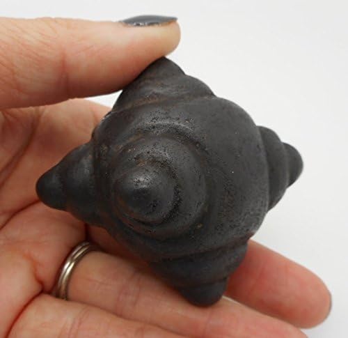 6 Point Meteorite Chumpi Stone Third Eye Chakra Shaman Healing