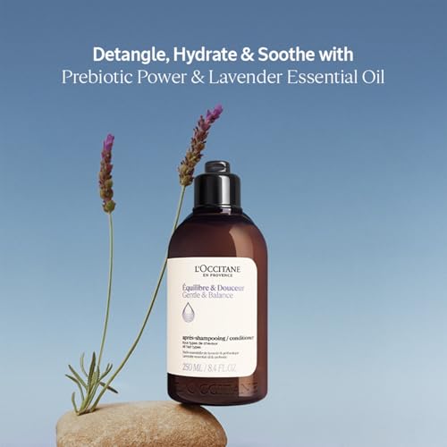 Image of L'Occitane Aromachologie Gentle & Balance Conditioner (Pack of 2)