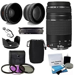 Canon EF 75-300mm f/4-5.6 III Telephoto Zoom Lens with 2X Telephoto Lens, HD Wide Angle Lens and Accessories (8 Piece Kit)