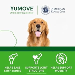 Adult Dog Tablets | Hip and Joint Supplement for Dogs with Glucosamine, Chondroitin, Hyaluronic Acid, Green Lipped Mussel | Dogs Aged 6 to 8 | 120 count tablets, treat colored Adult Dog Tablets | Hip and Joint Supplement for Dogs with Glucosamine, Chondroitin, Hyaluronic Acid, Green Lipped Mussel | Dogs Aged 6 to 8 | 120 count tablets, treat colored