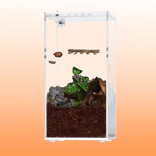 Escondite para araña saltarina y accesorios de recinto con plato de alimentación 7