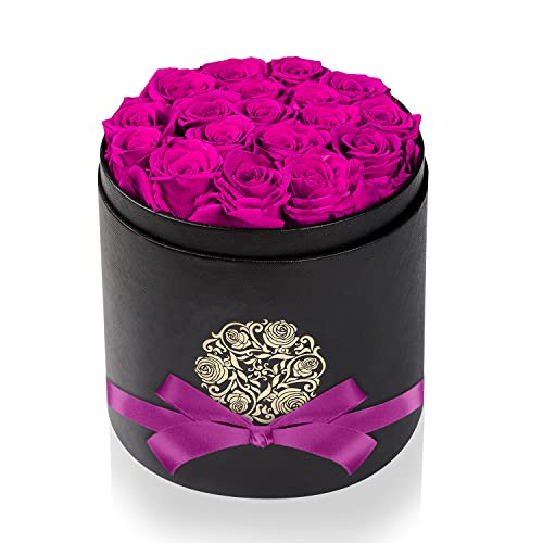 Natroses Preserved Roses Purple Roses In A Box That Last Up To Three Years, Long Lasting Roses For Her, Preserved Flower Gifts For Her Valentines Day Gifts #TOP27
