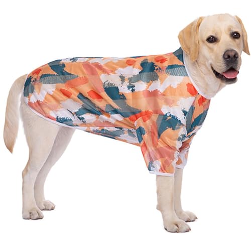 pVcxXg y pTVcAėpvg\tgN[VcA^^pApjppW}(GTX03-T-OtBeB-XL)