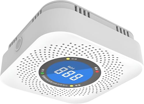 Citybabyガス警報器 ガス漏れ警報器 都市ガス警報器 リマインダー機能付き WIFI スマホ通信 EDスクリーンは濃度を表示 家庭防災 高精度 スマホ警報送信 可燃性ガス検知機 低エネルギー消費 簡単な取り付け (CO08 一酸化炭素(スタンドアロン
