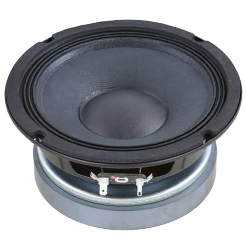Venduto singolarmente; Woofer da 16,5 cm di diametro (6,5