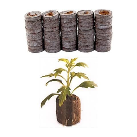 50 Count - Jiffy 7 Peat Pellets - Seed Starter Soil Plugs - 36 mm - Start Seedlings Indoors - Easy to Transplant to Garden Cover