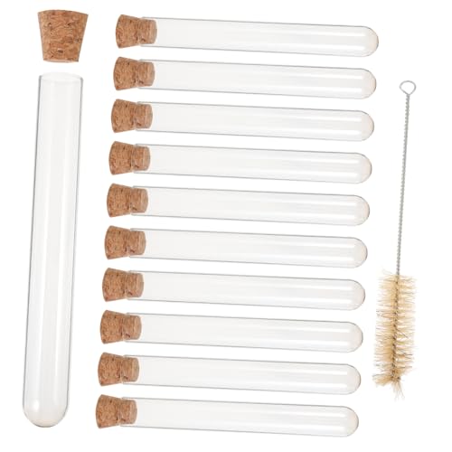 BELLIFFY 10KXǃRNt NAے t[ p p|uVt