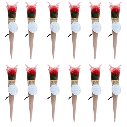 L[t(Q-FLA) \[vt[ 1 kelee u[P ԑ J[l[V bh 12Zbg Mtg a  834196