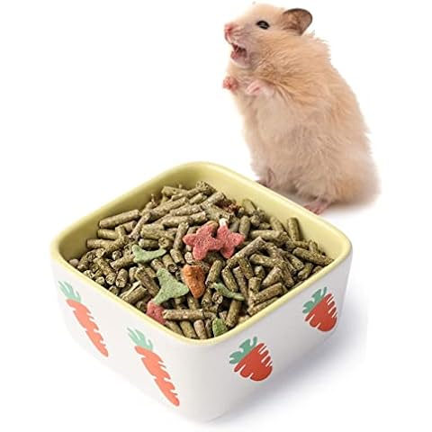 JanYoo Kaninchen Zubehoer Futternapf Keramik Meerschweinchen Trockenfutter Wasser Duo Napf Igel Hamster Sachen klein Cover