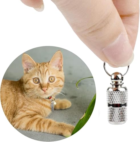 6 Stück Personalisierte Adressanhänger für Hunde Katzen, Adressanhänger Hund, Hundehalsband Anhänger, Adressanhänger Katze, für Haustiere, Katzen, Hunde