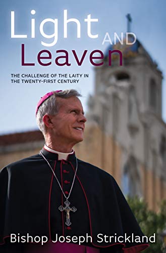 Light and Leaven: The Challenge of the Laity in the Twenty-First Century Light and Leaven: The Challenge of the Laity in the Twenty-First Century