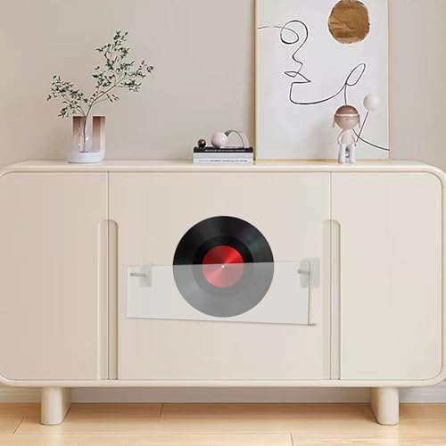 Expositor de discos para coleccionistas de vinilo que buscan orden 4