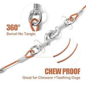 Chew Proof Dog Leash,5 Ft Tie Out Cable with Detachable Short Dog Leashes Handle,Non Chew Cable Braided Cord Steel Training Dog Leash for Teething Puppies Small Medium and Large Dogs