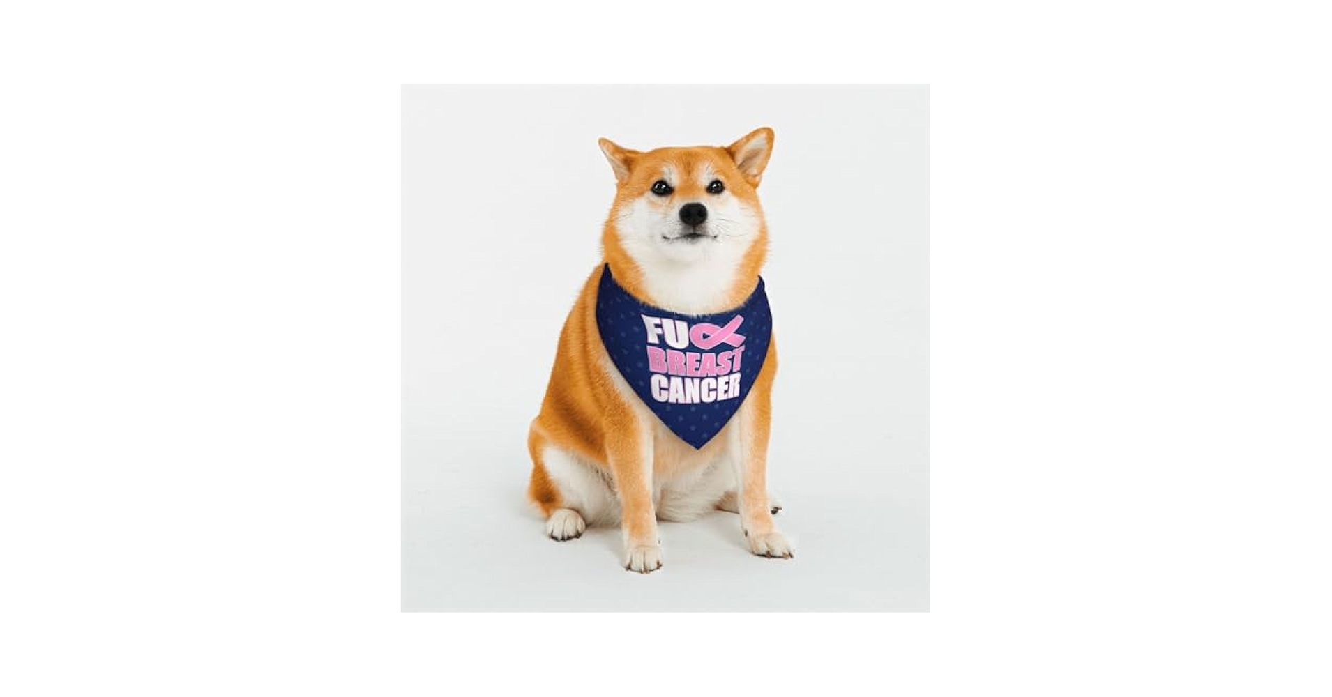 Serika With Dog – Caution Beware of Dog Signs Warning Dogs Sign Red and White Vinyl