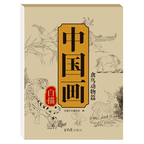 Álbum De Copia De Pintura China, Libro De Trabajo Para Aprender A Dibujar Aprendizaje, Libro De Ejercicios Para Principi