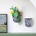 LA JOLIE MUSE Wall Hanging Planters for Indoor Plants，Hanging Flower Pots for Air Plants Succulent, Set of 2, 6 Inch, Rock Gray