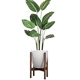 Soporte para plantas de mediados de siglo moderno, soporte para macetas, expositor para casa, jardín, patio, sin florero, sin planta)