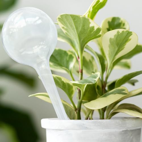 Mtlhbcg Bewässerungskugeln，6 Stück Pflanzenbewässerungskugeln 27.5 x 8 cm Bewässerungskugeln Kunstoffe Automatische Bewässerungssystem für Pflanzen, zum Hausgarten Pflanzen Bewässerung Drinnen Draußen