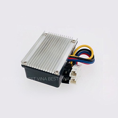 electric princess carriage