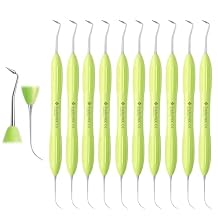 Fissura LM Arte Composite Dental Instrument, Stainless Steel, Ergonomic Silicone Handle, Precision Sculpting Tool for Restorations - Set of 10