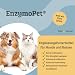 FeedMyAnimal EnzymoPet | 500 g | Ergänzungsfuttermittel für Hunde & Katzen | Zur ernährungsphysiologischen Unterstützung der Verdauungsfunktion | Mit Pankreatin