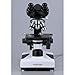 AmScope - 1600X Biological Compound Binocular Microscope + 50 Slides + 100 Coverslips - B490A-50P100S