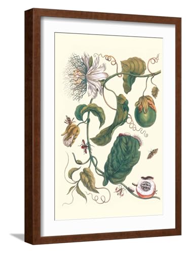 Top Passionflower Wall Art and Crafts on Amazon in 2026