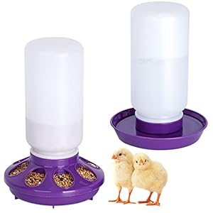 Chicken Feeder and Waterer Set – No Waste Chick Starter Kit With 1L Water Feeder for Poultry and Baby Chicks (Purple)
