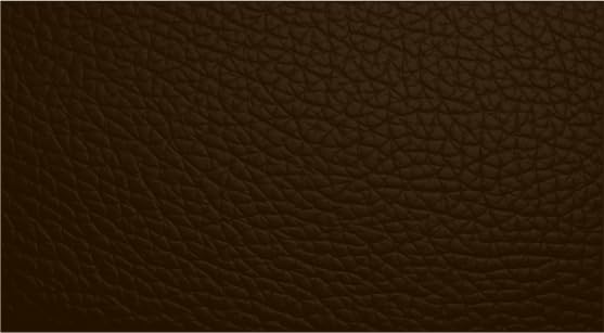 Leather Furniture Restorer Repair Paint in Colours, for sofa, car seats, shoes, hand bag restoring colour (Chocolate, 250ml Bottle)