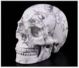 Skullis 2.0” Howlite Crystal Skull, Hand Carved Gemstone Fine Art Sculpture, Reiki Healing Stone Sta