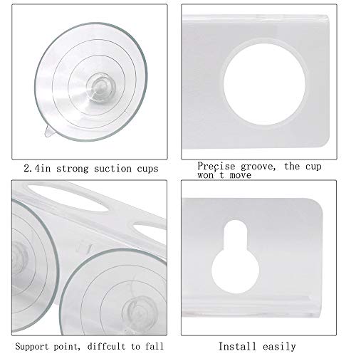 image for SLSON Gecko Feeding Ledge Reptile Acrylic Feeder with Suction Cup for 