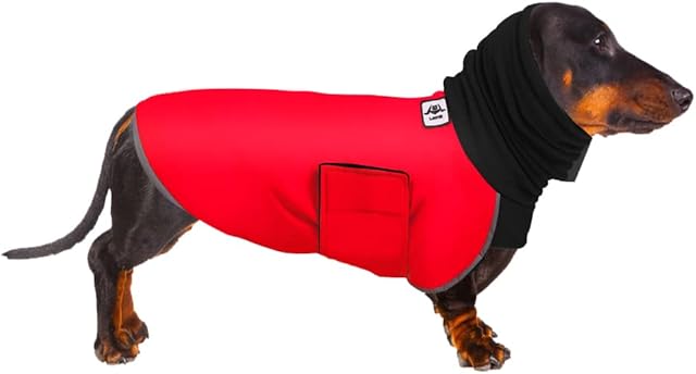 Dachshund Coat, Dachshund Winter Coat, Warm Dachshund Coat, Dachshund Raincoat Waterproof, Dachshund Clothing, Coat Miniature Dachshund, Miniature Dachshund Raincoat for Small Dog (2XS, Red)