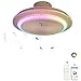 Wentylator sufitowy z lampą sufitową wentylatora i zdalnego sterowania z muzyką Bluetooth Rgb. Zmiana kolorów. PROWADZONY Fan Sufit Lights do sypialni Wentylator sufitowy salon ze światłem, Ø50 cm.