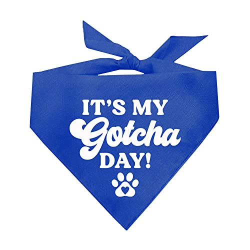 It's My Gotcha Day!���p�o���_�i | 100%�R�b�g�� ���߉\ �O�p�` | �A�����J�� | �{�q���g�C�x���g ������ �ʐ^�B�e | ���X�L���[ | ���C�����A�����T�C�Y(12)