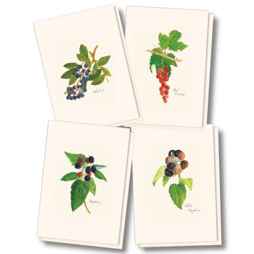 Image of Earth Sky + Water - Berry Assortment Notecard Set - 8 Blank Cards with Envelopes (2 each of 4 styles)
