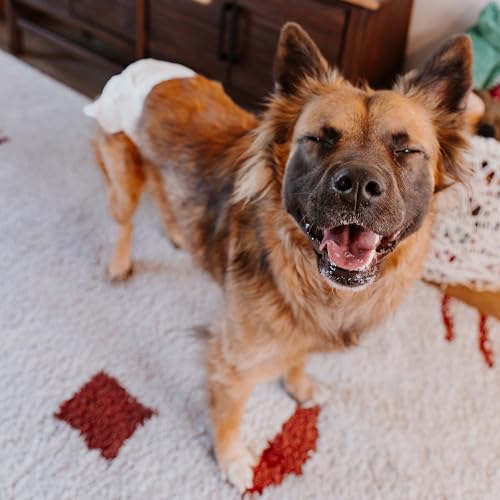 Image of Four Paws Wee-Wee Disposable Dog Diapers, Large, 36 Count | Protects against leaks, dog incontinence, marking, great for puppy training & travel, over 19 inch waist
