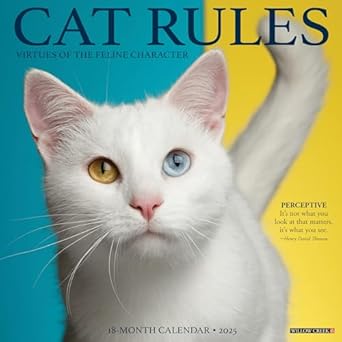 Cat Rules 2025 12 X 12 Wall Calendar : Buy Online at Best Price in KSA