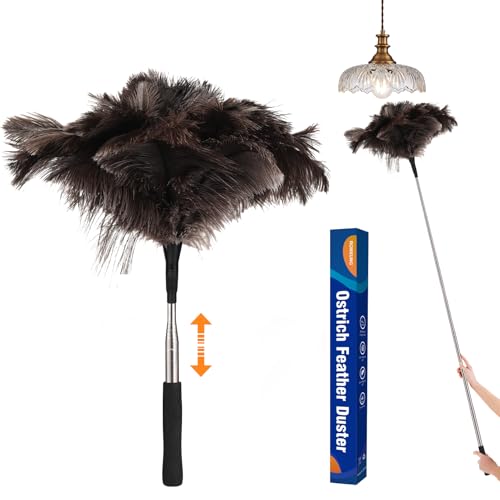 Ostrich Feather Duster with Telescoping Handle - Reusable Long Hand ...