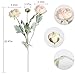 IPOPU Champagne Fake Peonies Artificial Ranunculus Flowers 6pcs 18Heads Champagne Silk Flowers 20.47