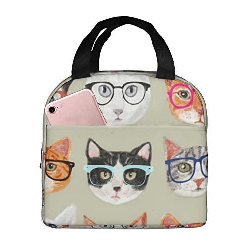 sȔL̃W{XP[ ۗ⃉`obO  ٓ e  ۉ fMf qɂ ʋ ʊw sNjbN 