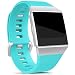 Hotodeal For Fitbit Ionic Bands Waterproof, Replacement Sport Strap Accessory Wristbands for Ionic Fitbit Smartwatch, 13 Classic Colors, Teal, Large