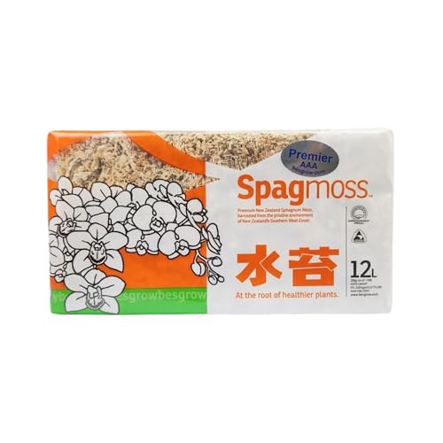 besgrow Premium New Zealand Sphagnum Moss, 150g (12L When Hydrated) Premier AAA Grade (150mm, 6' Strands) - Harvested in New Zealand's South Island, Dried and Long for Potted Plants, Orchids, Reptiles