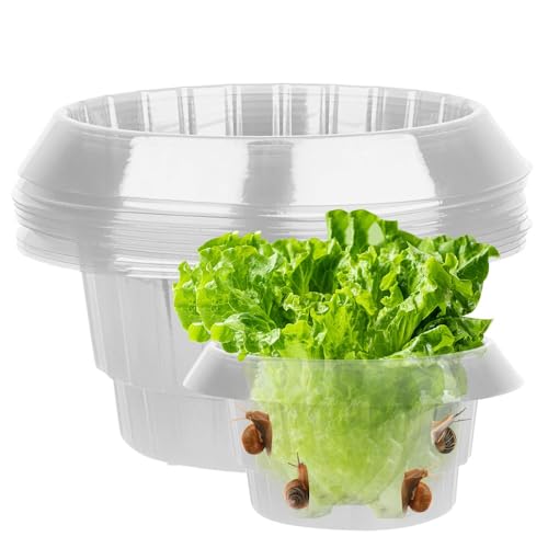 HIULLEN 20 Stück Schneckenkragen, Schneckenschutzring, Natürlicher Schneckenschutz, Wetterfest und Langlebig, Schneckenabwehr Ohne Chemie für Schutz von Salat und Kohl vor Tierfraß, Transparent