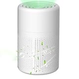 BIZOI Small Air Purifiers for Bedroom Home with H13 HEPA Filters, Portable Air Cleaner with HEPA Filter & Aromatherapy, USB Power, Silent Smoke Remover for Pet Dander Dust Pollen Odor