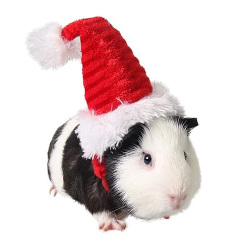 Sombrero de Navidad para mascota pequeña