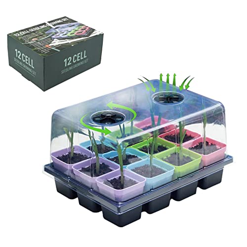 sementes, conjunto propagador jardim, kits sementes - início sementes Kit iniciante plantas e base m