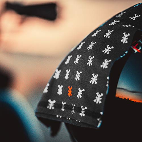 Indie Ridge Motorcycle Face Mask And Risk - Motorcycle Ski Snowboard Winter Mask (Fleur De Lis) #TOP4