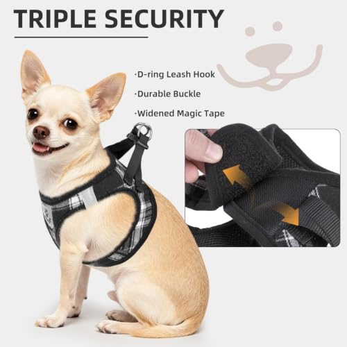 Image of Pupteck Adjustable No-Pull Dog Harness, Collar and Leash Set for Small Medium Dogs, Puppies and Cats, Soft Mesh Padded Reflective Chest Strap for Walking and Training (Black, S (Chest 14.5 inch-16 inch))