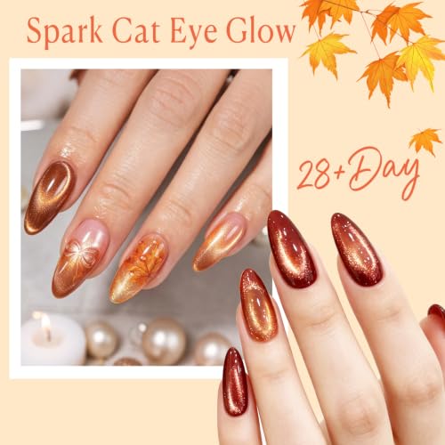 Image of AzureBeauty Cat Eye Magnet 5D Nail for Cateye Gel Polish Nail Stuff